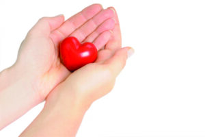  A red heart is held between two hands to symbolize protecting the heart against a congestive heart failure flareup.